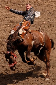 Yahoo! It’s time for the Calgary Stampede!