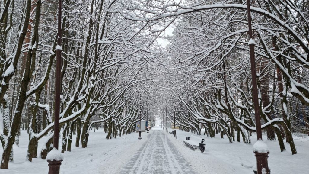 English Vocabulary: 7 Things to Do in the Snow!