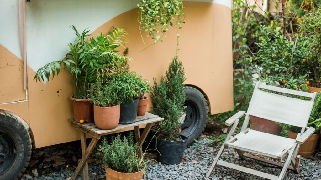 Expressions with “Garden” or “Backyard”