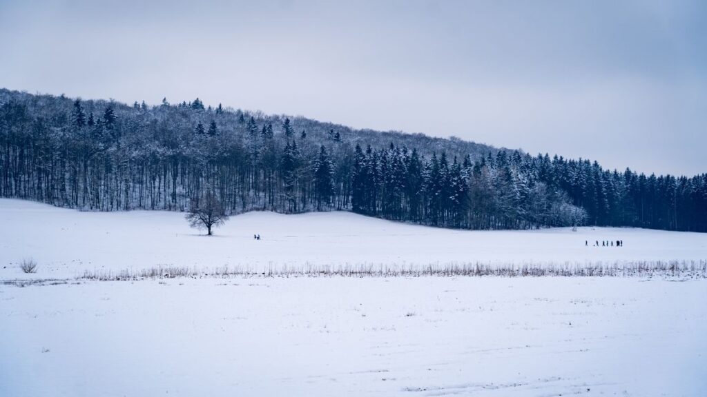 English Vocabulary: All About Snow!